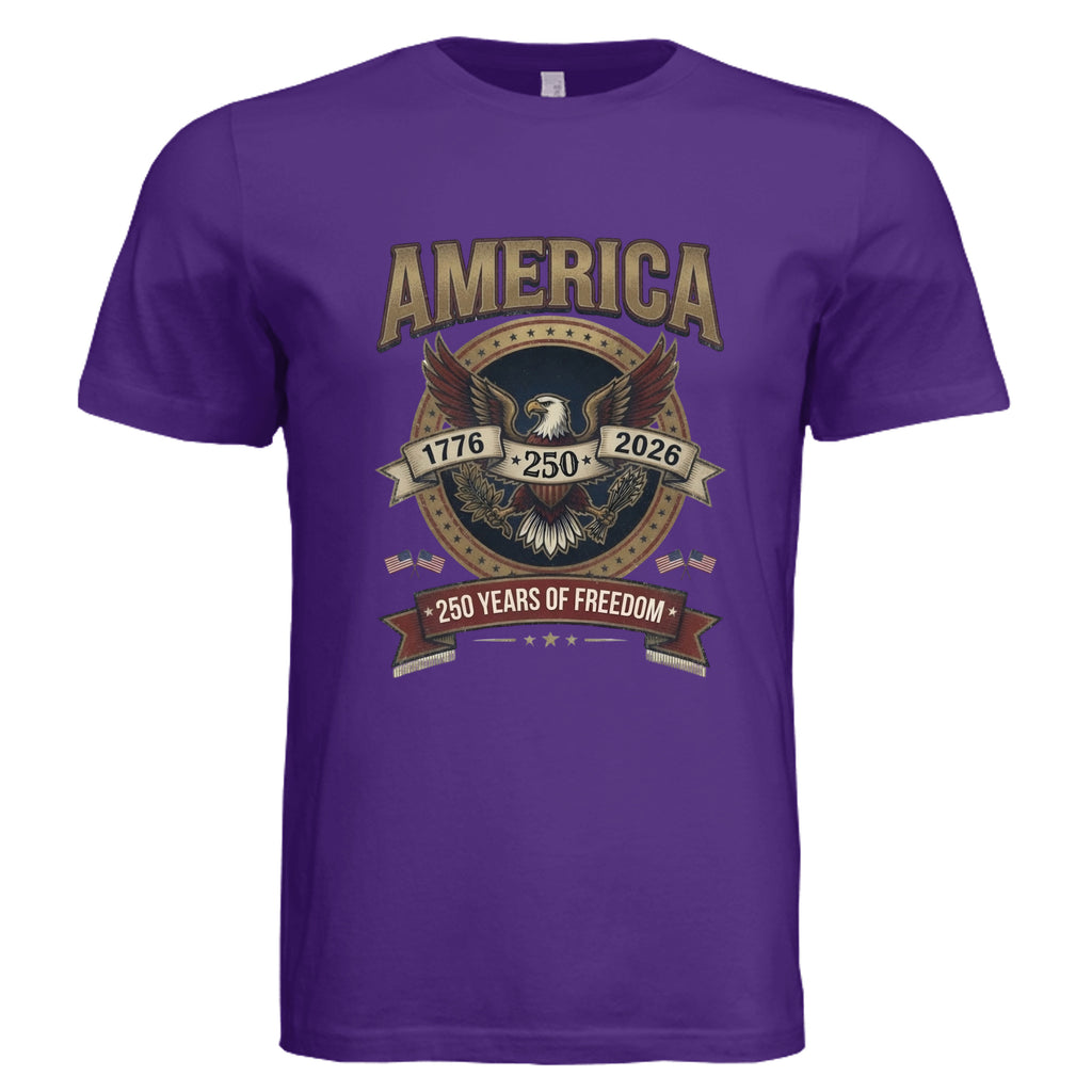 Solid Team Purple Triblend - 3413C - FRONT